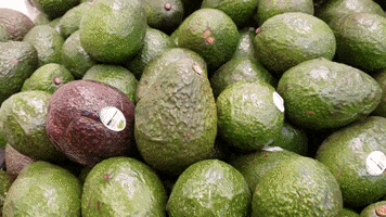 avocado toss GIF by A Magical Mess