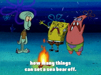 season 5 episode 10 GIF by SpongeBob SquarePants