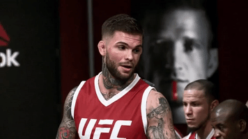 the ultimate fighter ufc GIF