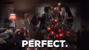 Movie gif. The family from A Christmas Story gathers around an enormous Christmas tree, the father saying, "Perfect," which appears as text. The tree is too large for the space--and a little wobbly. Is it actually perfect?