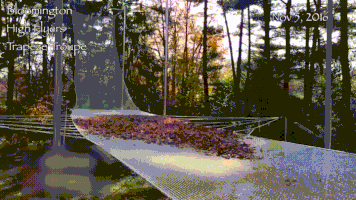 200.gif?cid=fc005b08ad0dc9b577a175383c1f937b0ed6a15b3f2f7ef6&rid=200.gif&ct=g
