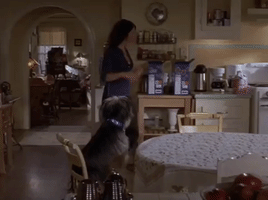 Season 6 Netflix GIF by Gilmore Girls 