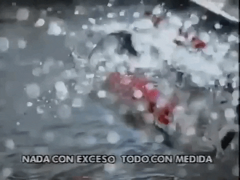 Fiesta Cerveza GIF - Find & Share on GIPHY