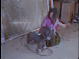 200.gif?cid=fc005b083551132562dd368f16acc8f5b8ec433c9078379d&rid=200.gif&ct=g
