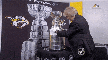 ice hockey GIF by NHL