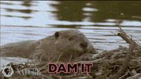 dam burst gif