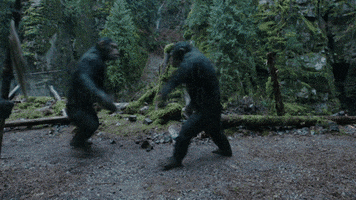 review hug GIF by War for the Planet of the Apes