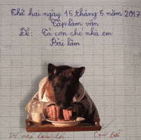 kakaphong hoc sinh GIF