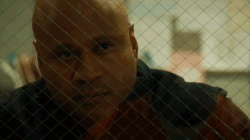 200.gif?cid=fc005b084f44735c7c2f7e312032b0a8621e8950fb016c29&rid=200.gif&ct=g