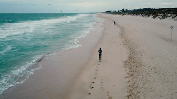 paulramondo  GIF
