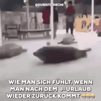 200.gif?cid=fc005b0872e42b64d291712ee772a5304527a203751a66e2&rid=200.gif&ct=g
