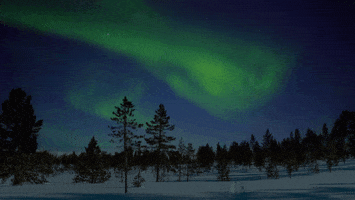 200.gif?cid=fc005b083d51535acb990a535a2112d73b3d2b83962820c4&rid=200.gif&ct=g