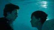 100.gif?cid=20e14a2ahec0o8o4j632ugdegy7ed9yt3bzcc3rvzqsf4mw8&rid=100.gif