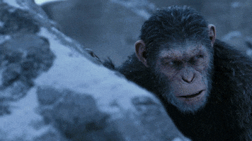 avalanche GIF by War for the Planet of the Apes