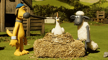 laying shaun the sheep GIF by Aardman Animations