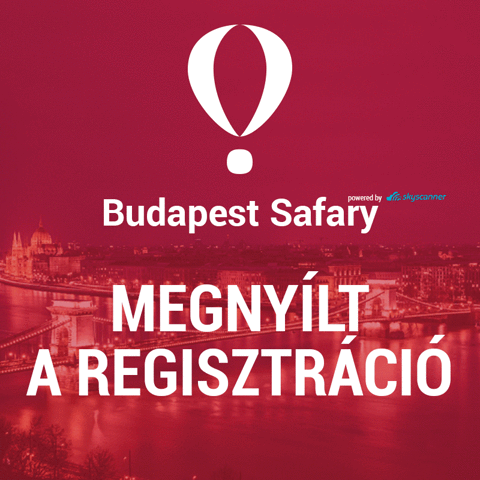 budapestsafary startup budapest xlabs startup safary GIF