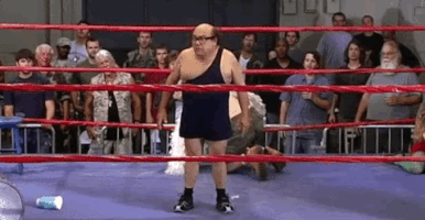 niklas-gif danny devito trash man GIF