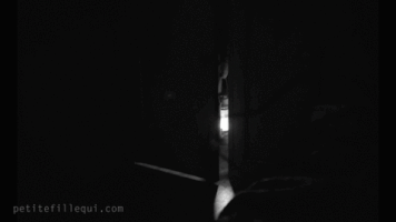 petitefillequi marinejohnson simonlavoie petitefillequi gaetansoucy GIF