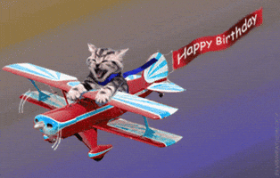 ruffleschip funny cat animation birthday GIF