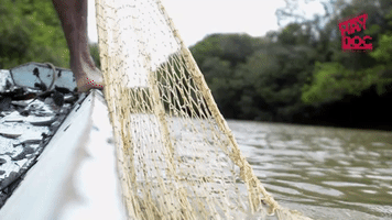 haydoc #haydocumentales #documental #pesca #llano GIF