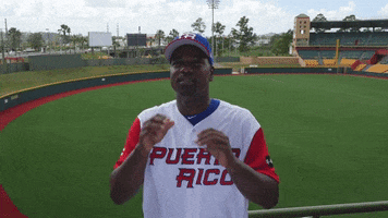 carlos delgado pelota GIF by T-Mobile Puerto Rico