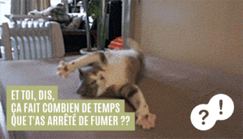GIF by Tabac info service 