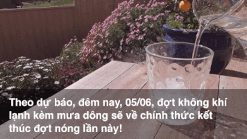 vugiang-b42a  GIF