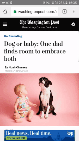 goodbarber pwa goodbarber progressive web apps GIF