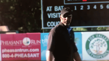 Chicago Bears GIF by Kane County Cougars