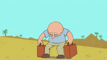 Briefcase GIFs - Find & Share on GIPHY