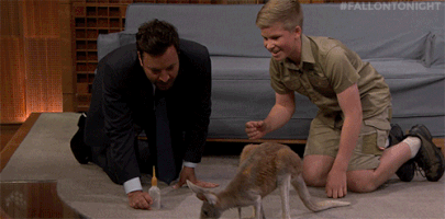 jimmy fallon kangaroo GIF by The Tonight Show Starring Jimmy Fallon