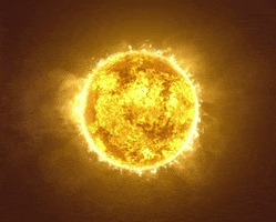 Sun GIF by Feist