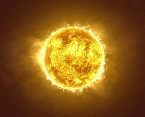 Sun GIF by Feist - Find & Share on GIPHY