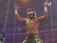 Best shawn michaels GIFs - Primo GIF - Latest Animated GIFs