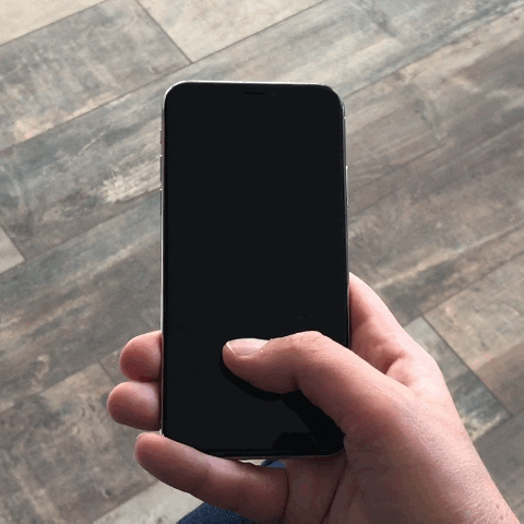Guide Iphone X GIF