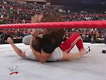 Triple H Fighting GIF by WWE