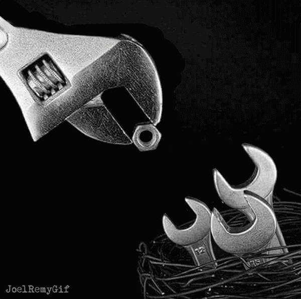 Birds Nest GIF Find & Share on GIPHY