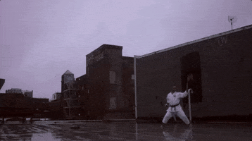 martial arts fighting GIF by Hurray For The Riff Raff