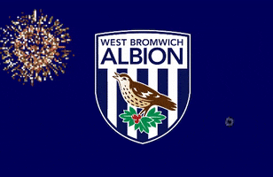 football goal GIF by West Bromwich Albion