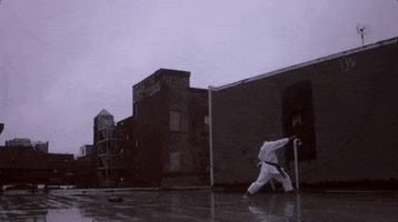 martial arts indie GIF by Hurray For The Riff Raff
