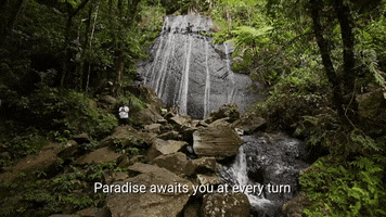 travel explore GIF by Celebrity Cruises Gifs
