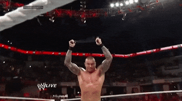 randy orton chair slam GIF by WWE