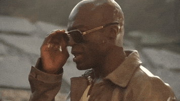seal GIF by The Orchard Films