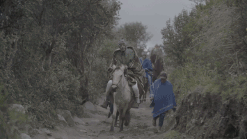 Viceland GIF by Hamilton's Pharmacopeia