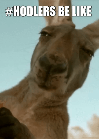 Hodlers GIF