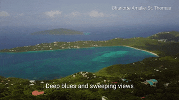 summer travel GIF by Celebrity Cruises Gifs
