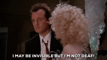 bill murray i may be invisible but im not deaf GIF