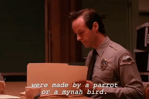 season 1 andy brennan GIF by Twin Peaks on Showtime