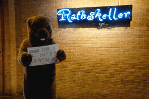 universityofdallas north texas giving day GIF