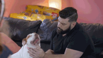 Pit Bull GIF by Animal Planet